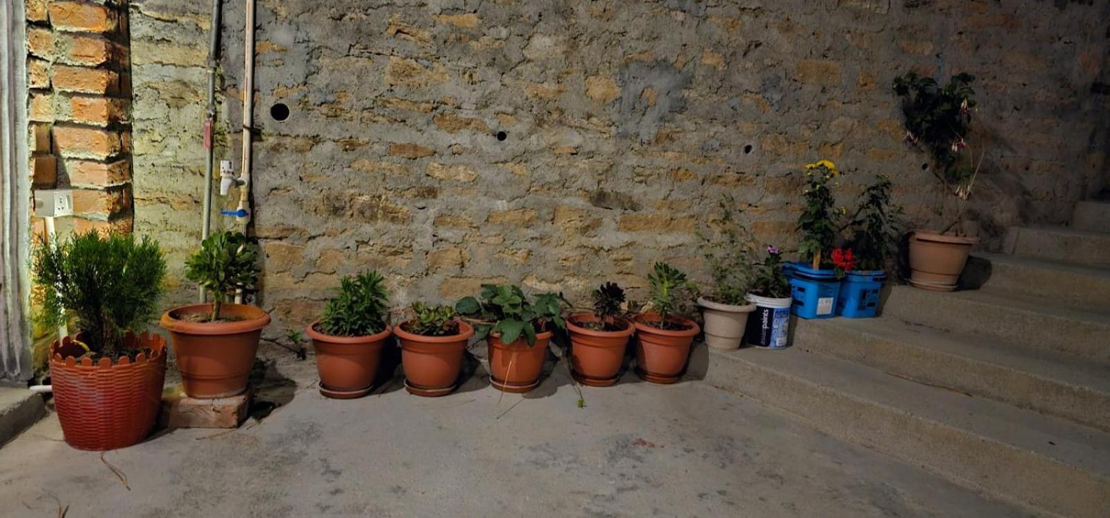 Golden Himalaya Homestay Kausani Eksteriør bilde